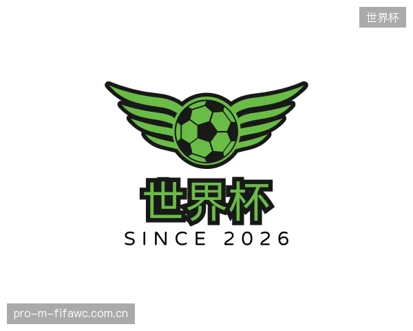 介绍世界杯公司